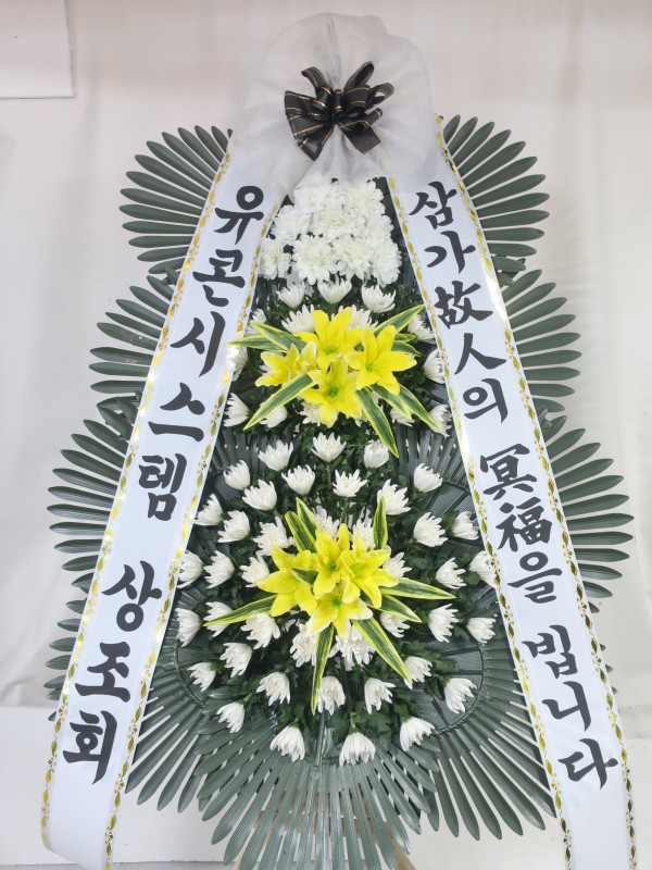 업로드 이미지