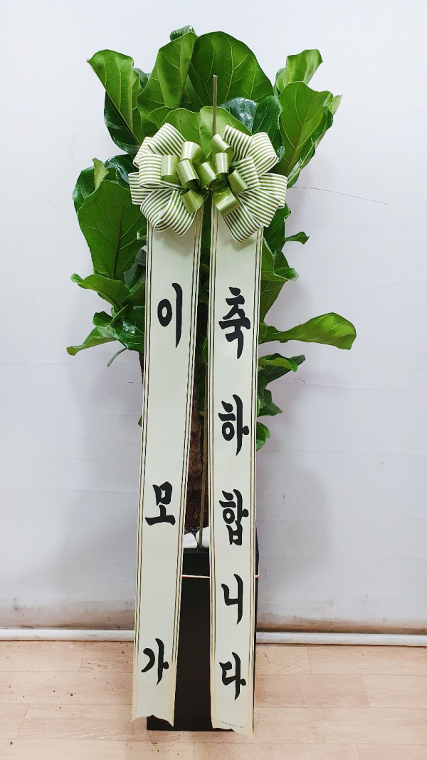 업로드 이미지