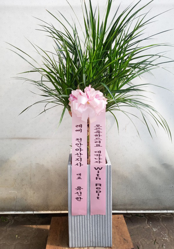 업로드 이미지