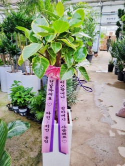배송사진