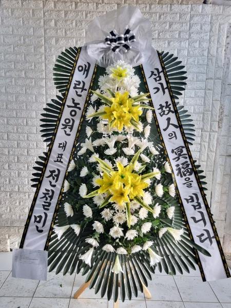 업로드 이미지