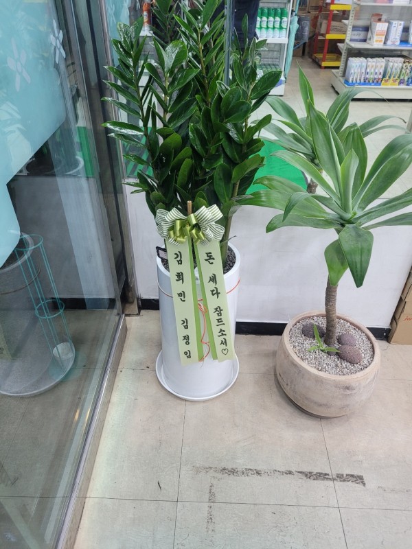 업로드 이미지