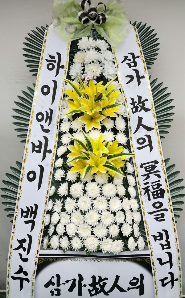 업로드 이미지