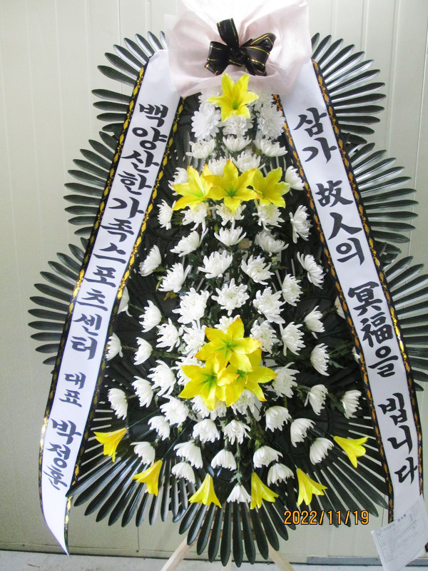 업로드 이미지