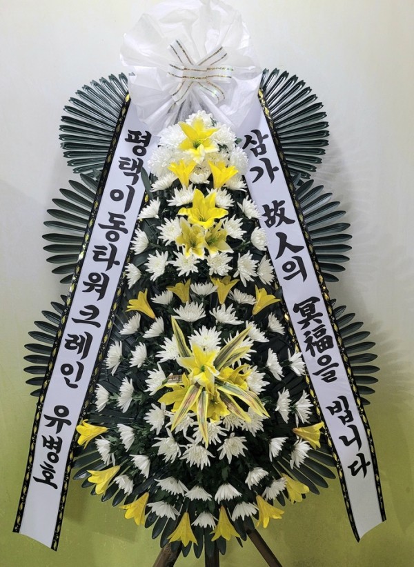 업로드 이미지