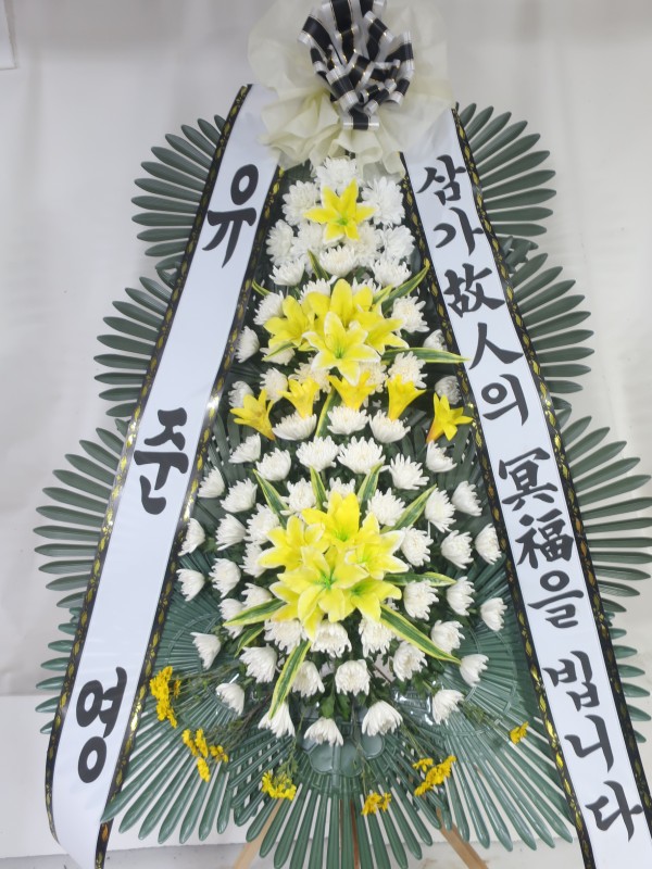 업로드 이미지