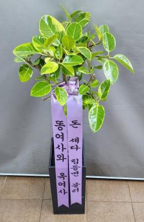 업로드 이미지