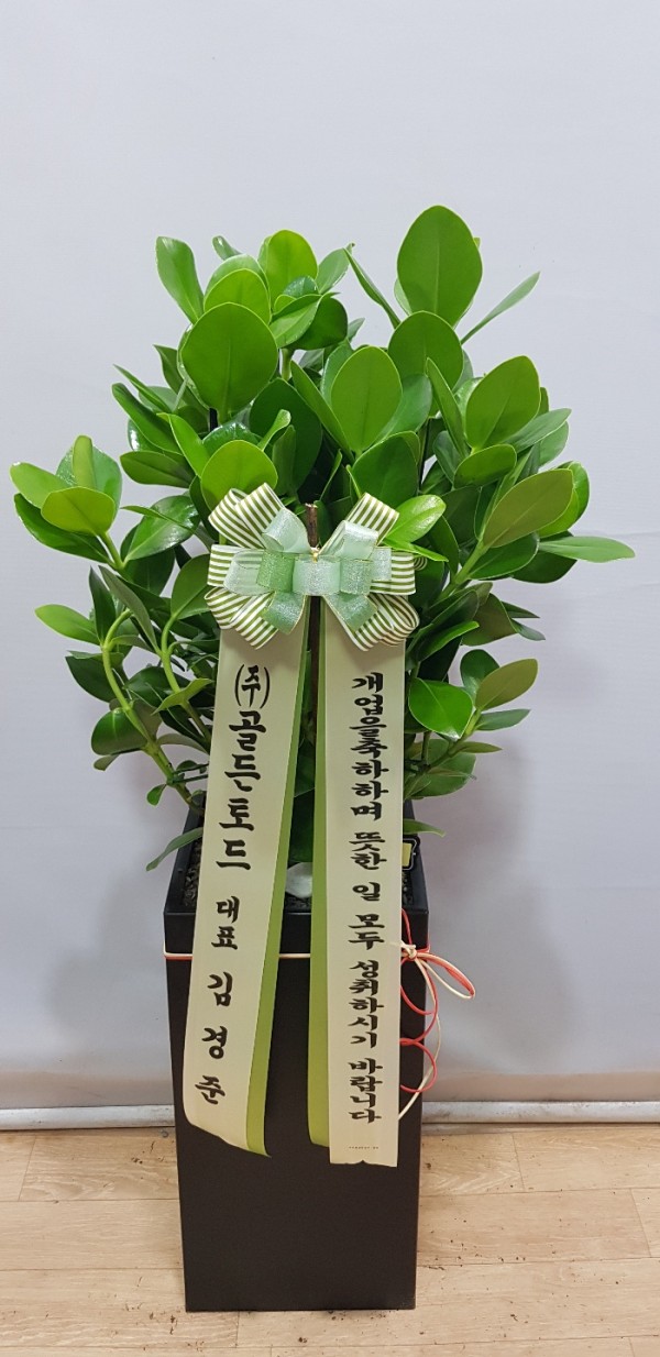 업로드 이미지