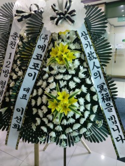 배송사진