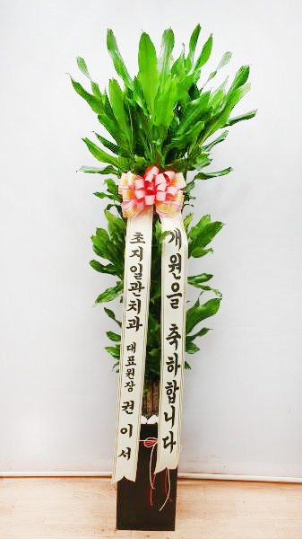 업로드 이미지