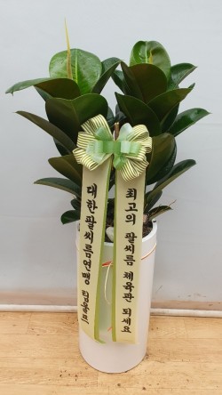 배송사진