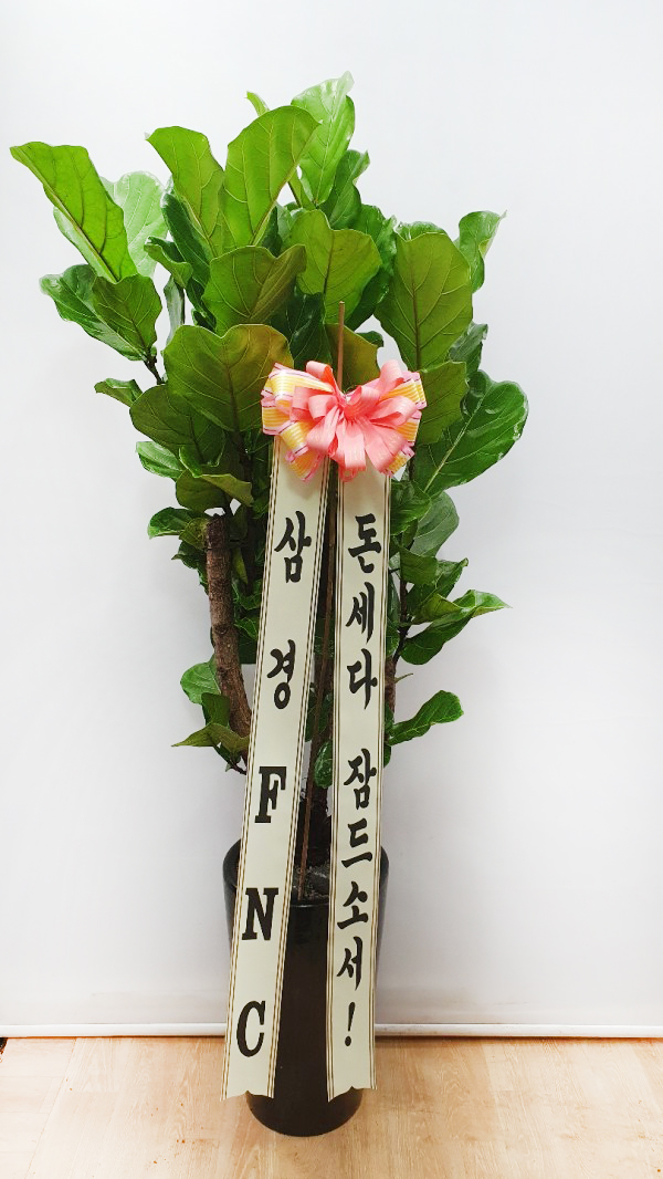 업로드 이미지