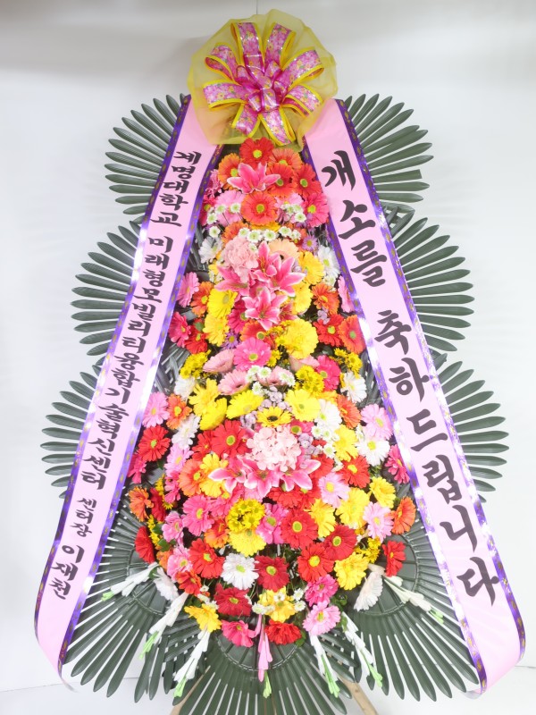 업로드 이미지