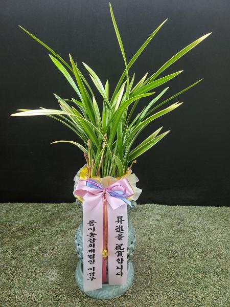 업로드 이미지