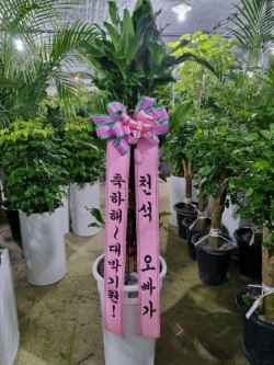 배송사진