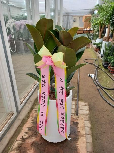 업로드 이미지