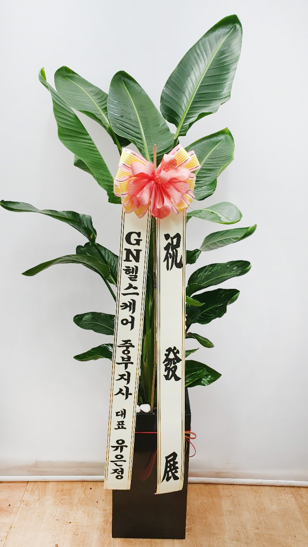 업로드 이미지