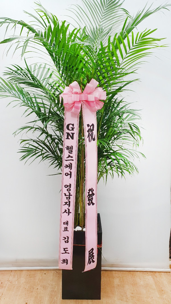 업로드 이미지