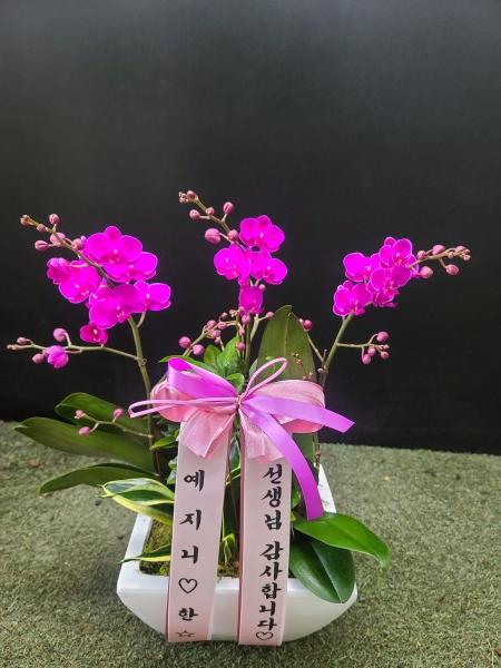 업로드 이미지