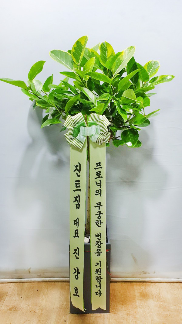 업로드 이미지