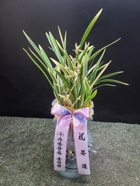 업로드 이미지