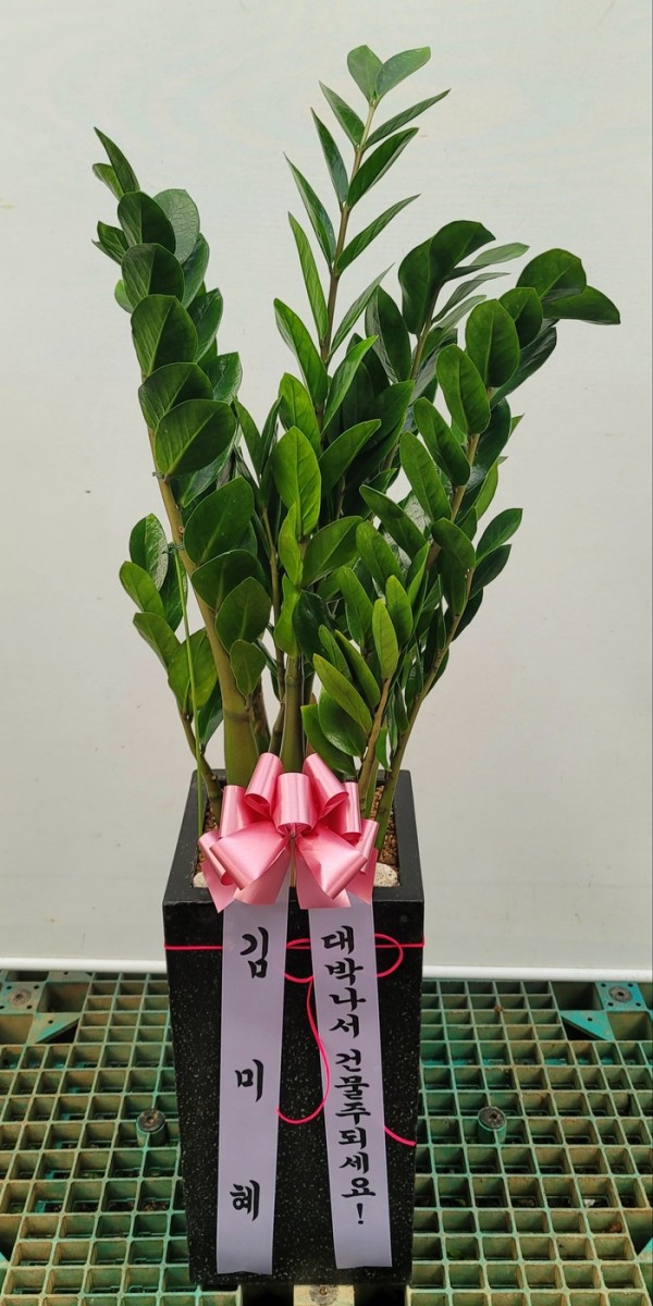 업로드 이미지