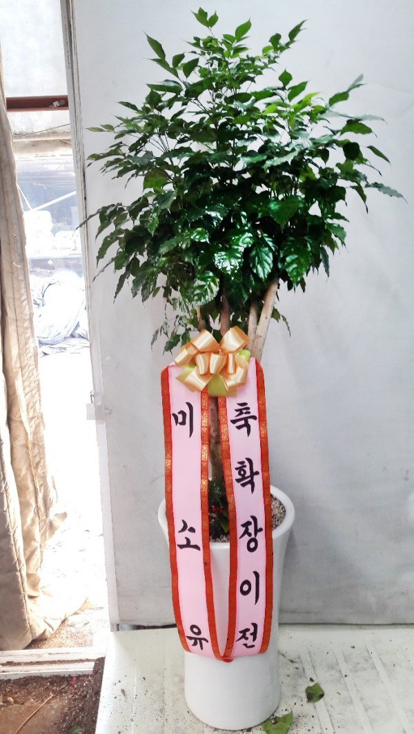 업로드 이미지