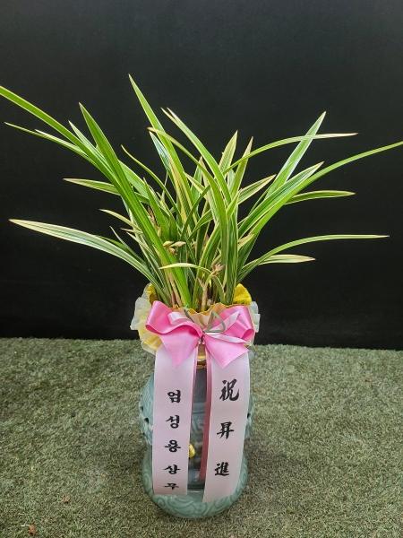 업로드 이미지
