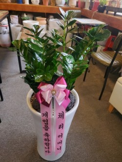 배송사진