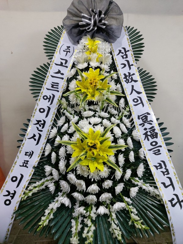 업로드 이미지