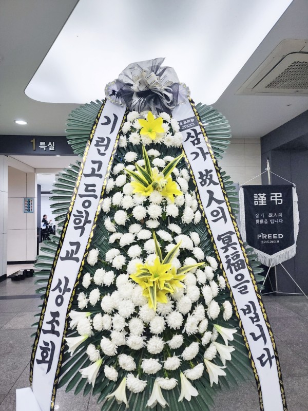 업로드 이미지
