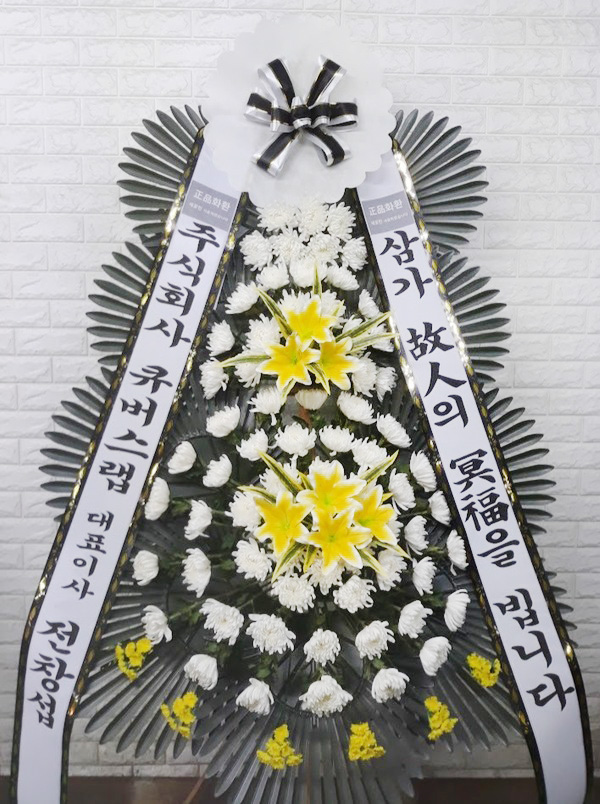 업로드 이미지