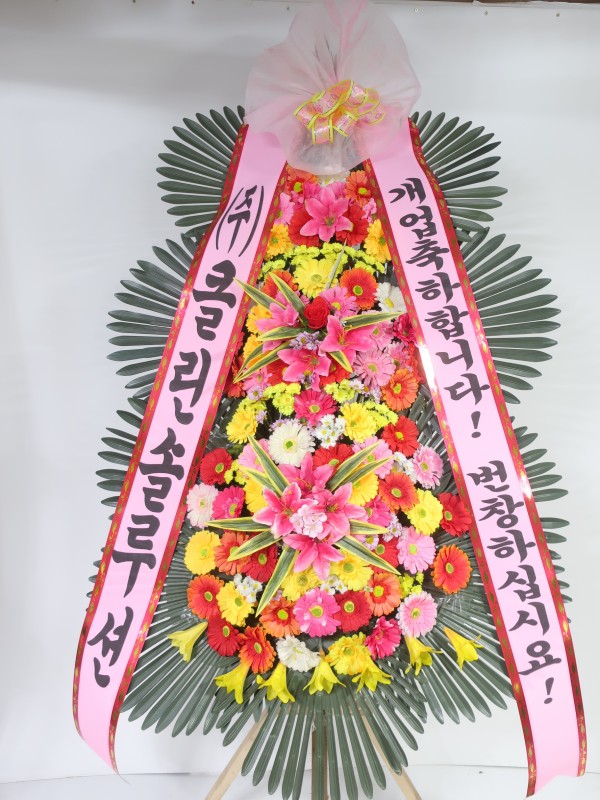 업로드 이미지
