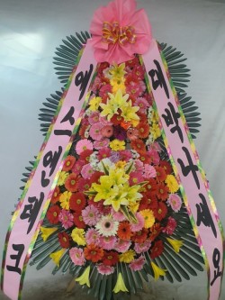 배송사진