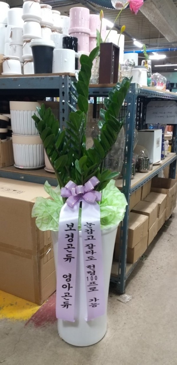 업로드 이미지