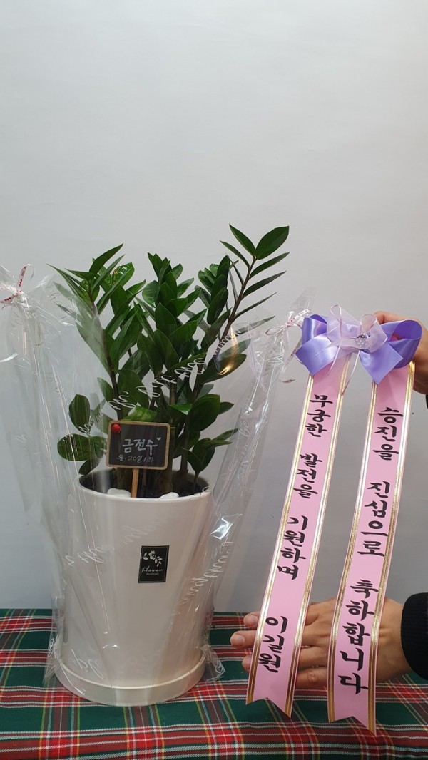 업로드 이미지