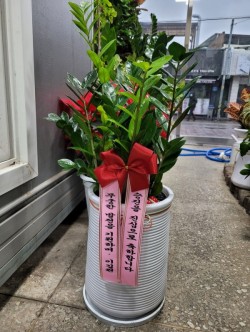 배송사진