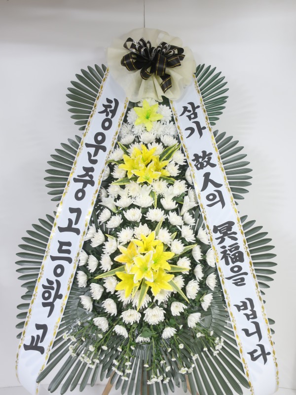 업로드 이미지