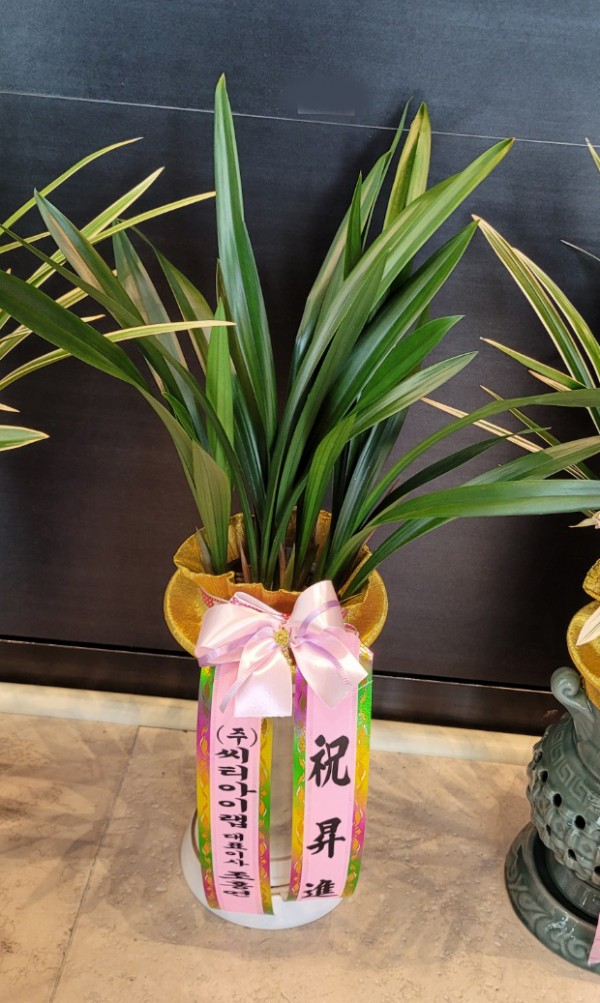 업로드 이미지