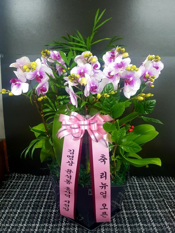 업로드 이미지