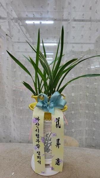 업로드 이미지