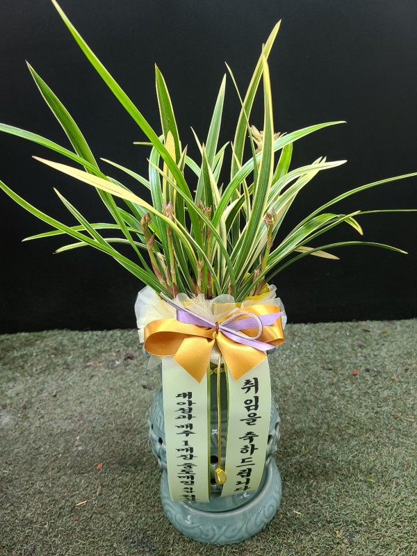 업로드 이미지