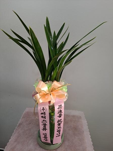 업로드 이미지
