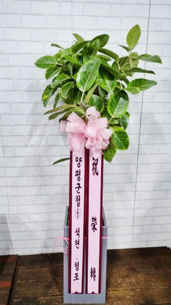 업로드 이미지