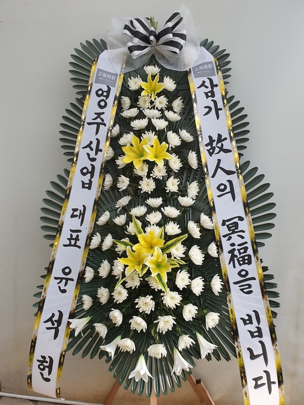 업로드 이미지