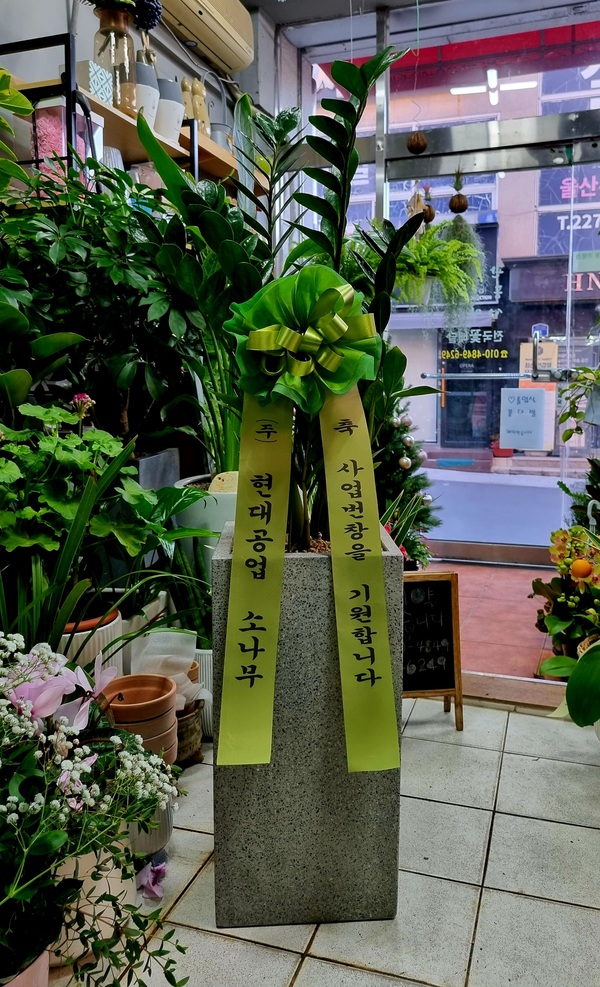 업로드 이미지