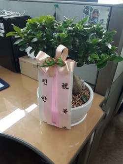 배송사진