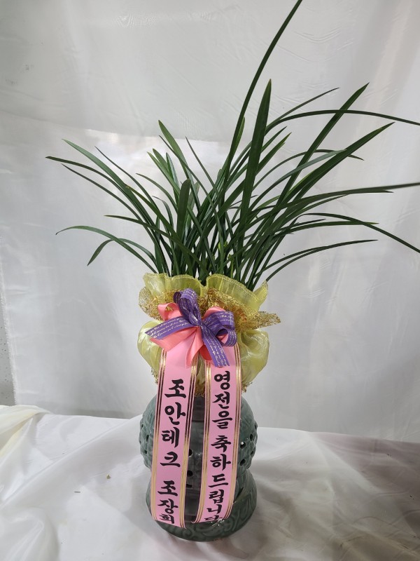 업로드 이미지