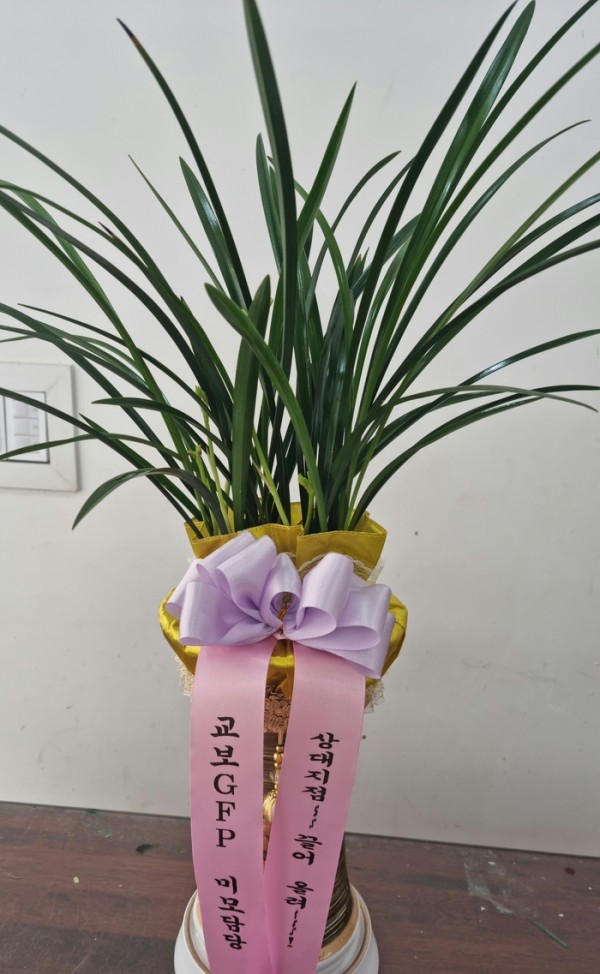 업로드 이미지