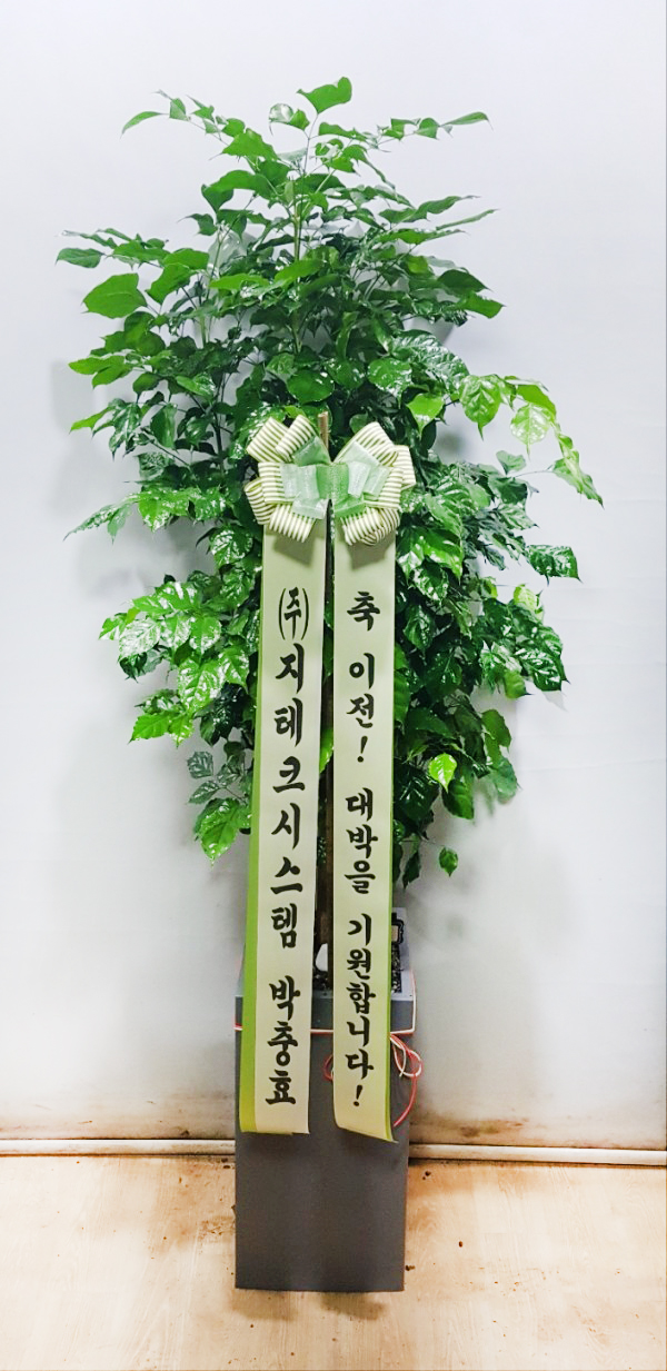 업로드 이미지